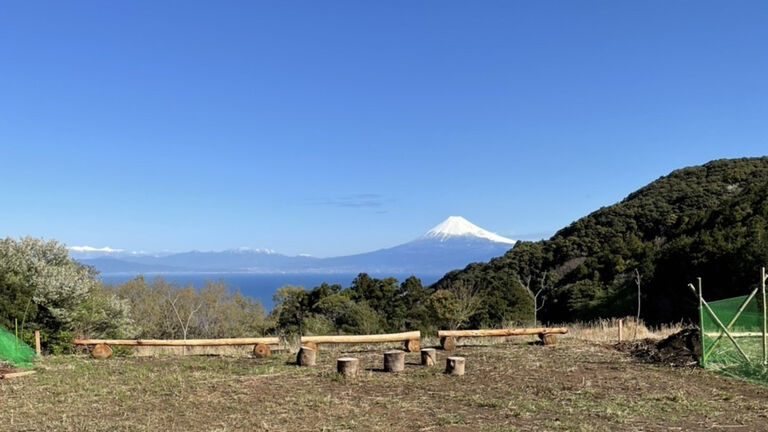 芝地のキャンプサイトから見た駿河湾と富士山。手前に丸太のベンチが置かれている
